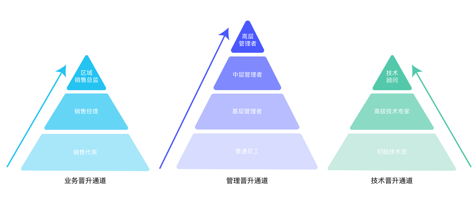 微信圖片_20240621104806.jpg
